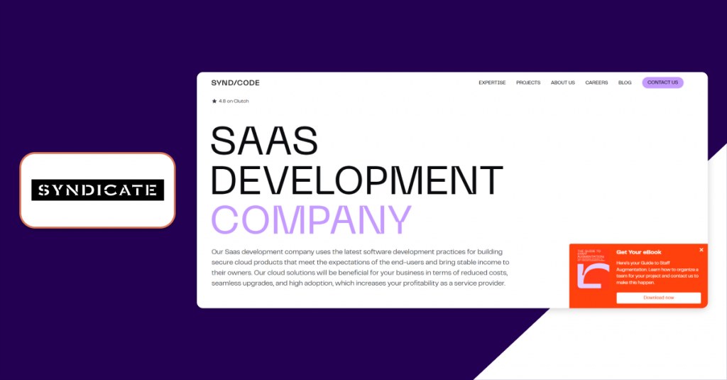 SaaS web application development